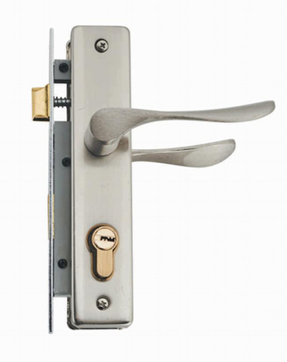 Stellen Sie Hebelingenieur Lock Door Handle-Türschloss-Griffplatte ein