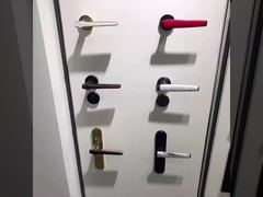 Stellen Sie den modernen Türgriff aus Zinklegierung, den kommerziellen Türgriff 58*85 mm, individuelles Design für Sie vor